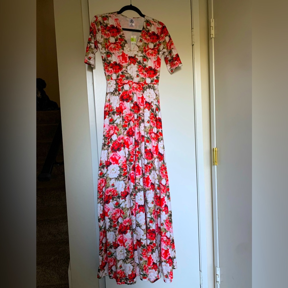 NWT XS Agnes & Dora Floral Austen Dress